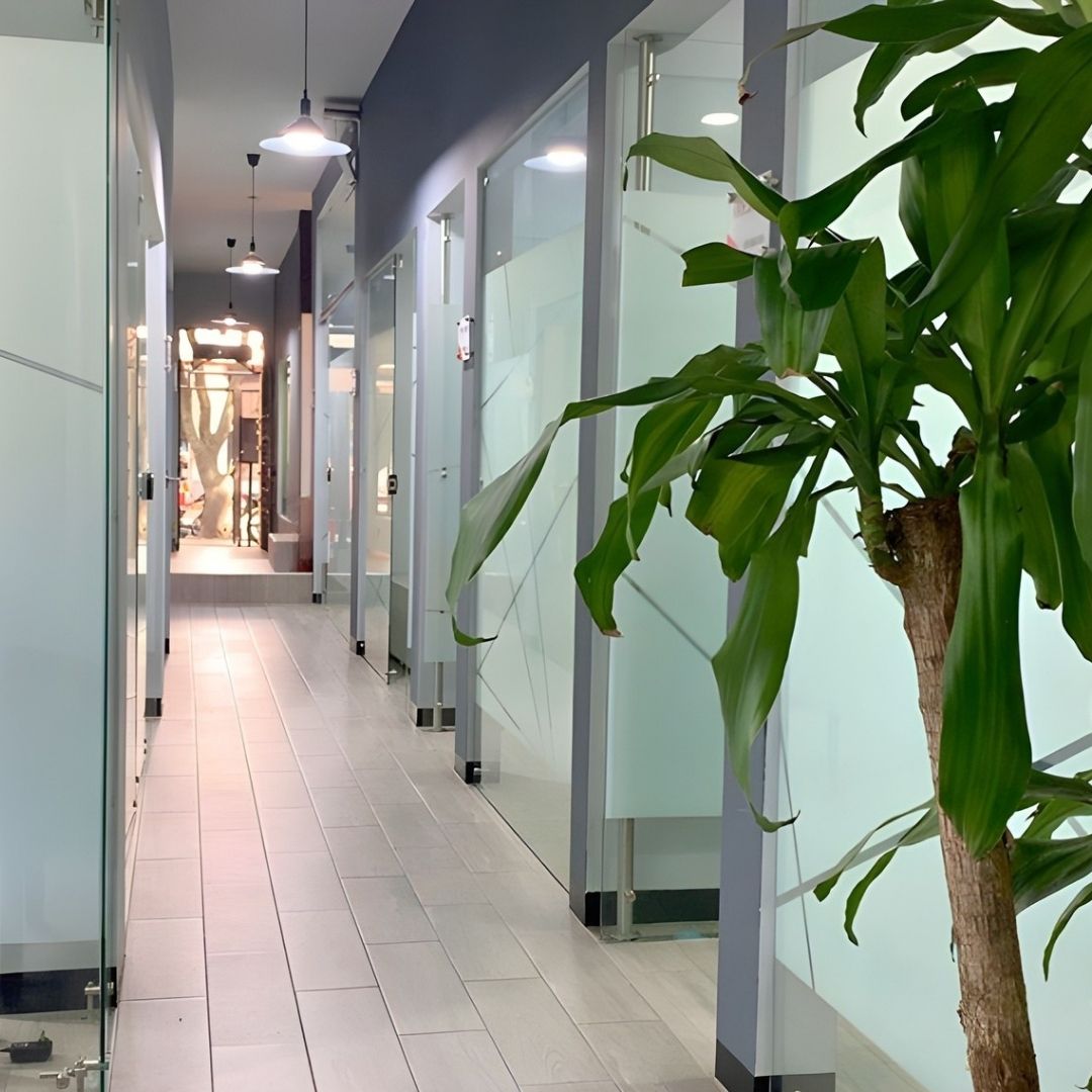 coworking cali- oficinas cali - oficinas amobladas por horas en cali - color office - espacios por horas para trabajar en cali coworking cali- oficinas cali - oficinas amobladas por horas en cali - color office - espacios por horas para trabajar en cali
